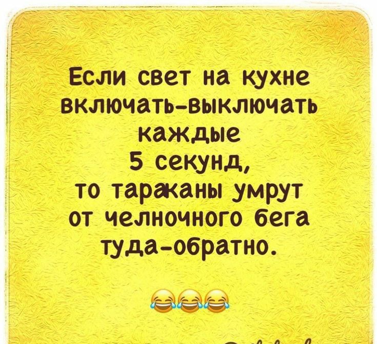 Если свет на кухне включать выключать каждые 5 секунд то тараканы умрут от челншного бега тудаобратно