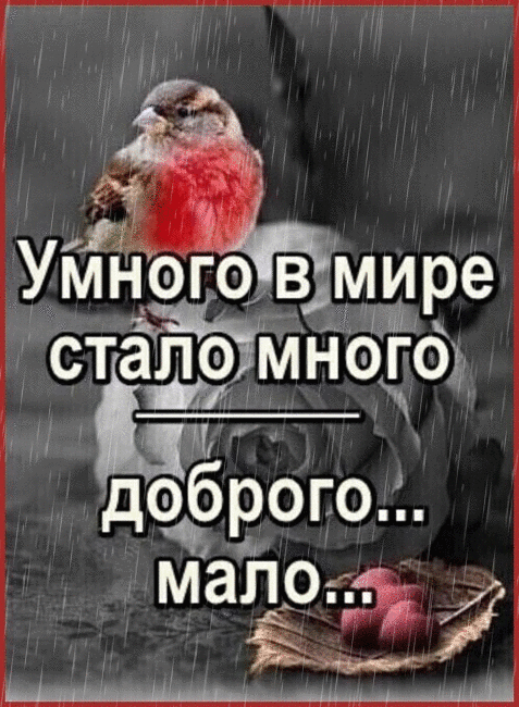 1 Умного в ре
