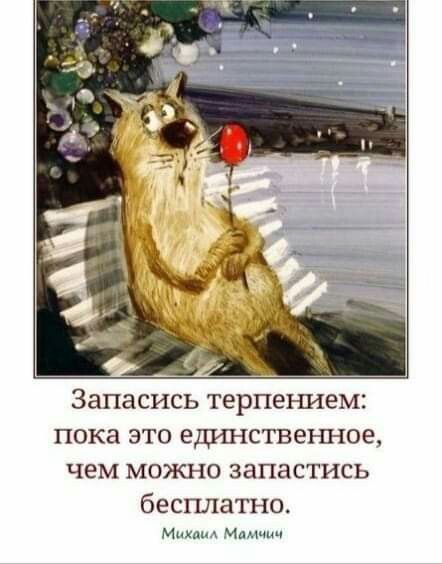 _ 2 _ _ Запасись терпеъшем пока это единственное чем можно запастись бесплатно Маями Мдмчич