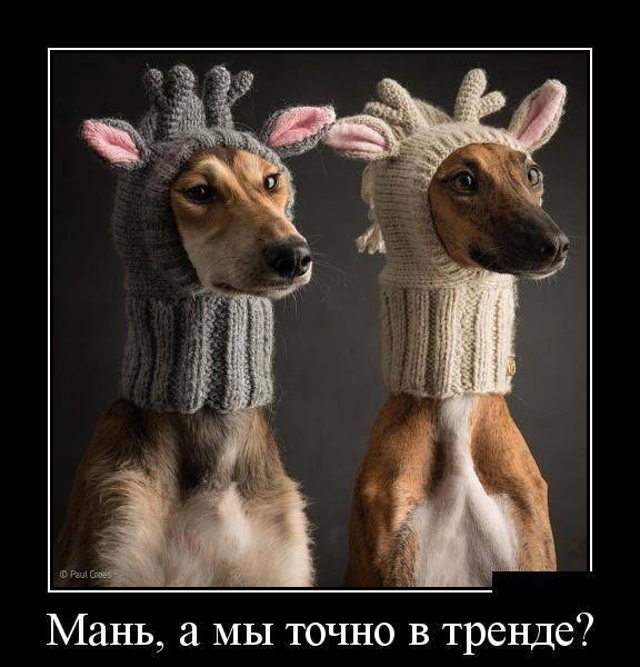 Мань а МЫ точно в тренде