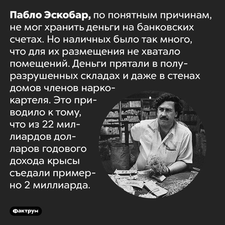 Пабло Эскобар по понятным причинам не мог хранить деньги на банковских счетах НО наличных было ТЭК МНОГОу что для их размещения не хватало помещений деньги прятали в попу разрушенных складах и даже в стенах ДОМОВ ЧПеНОЕ нарко картеля Это при водило ктому что из 22 мин пиардов дол ларов годового дохода КрЫСЫ съедали пример не 2 миллиарда о