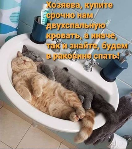 итд замша у ЮМ р71Е д Уш