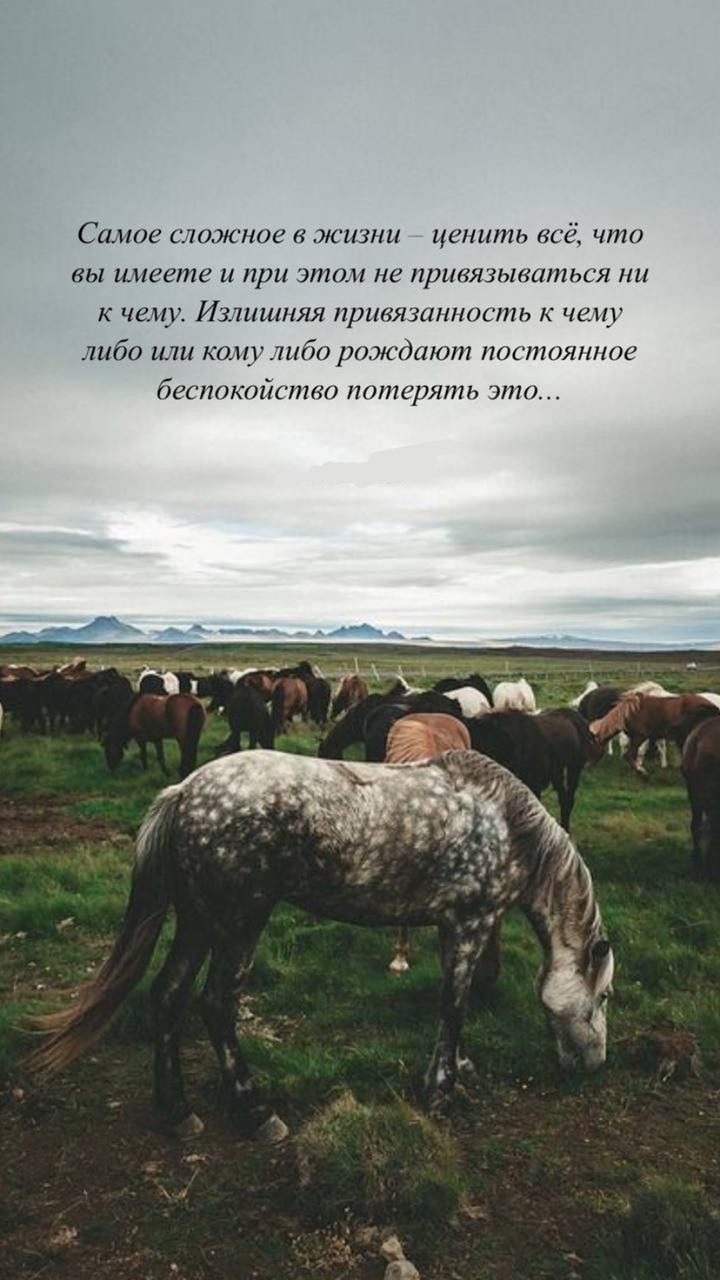 Салис южное в жизни ценить вы имеете и при 77111 на пришпыштхыи ни к чему Изтишняя пртязшншынь к чипу либо кону ибп риждиют шутилпт йдгппкийптш ттттінь