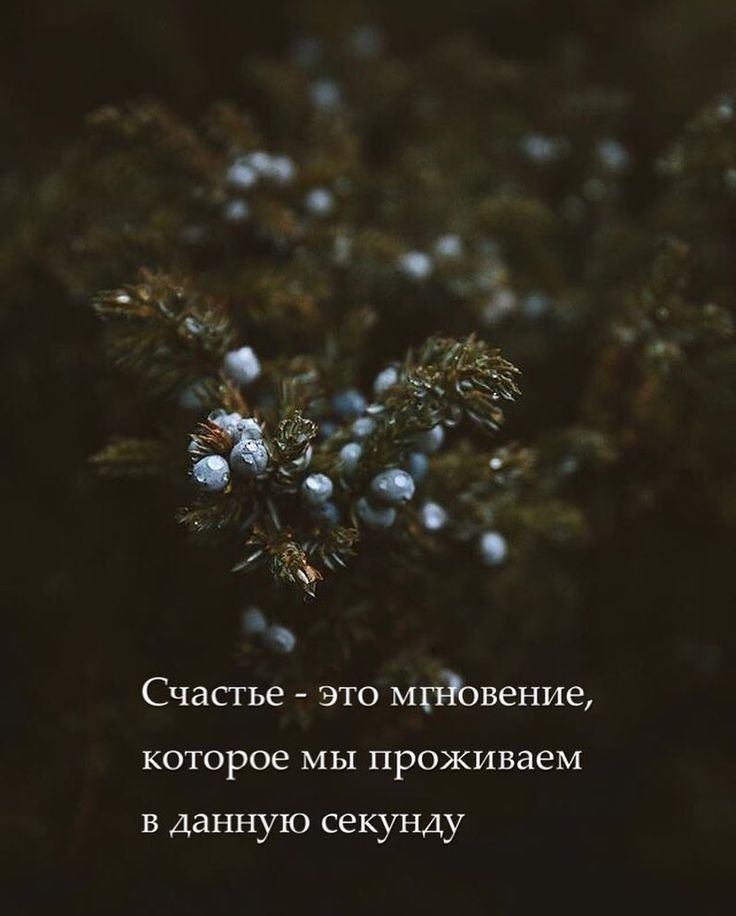 Счастье это мпЪвение которое мы проживаем в данную секунду