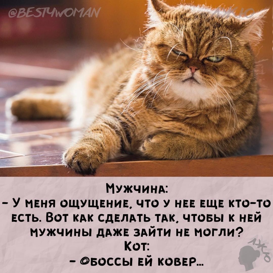 Мужчины У няня ощущвнин что у нне щ ктото сть Вот кпк Сднлдть тдк чтовы к ний нужчииы дм зайти и могли Кот овоссы Ей кавер