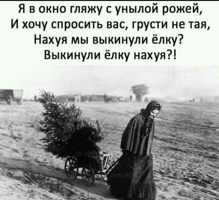Я в окно гляжу с унылой рожей И хочу спросить вас грусти не тая Нахуя мы выкинули ёлку Выкинули ёлку нахуя