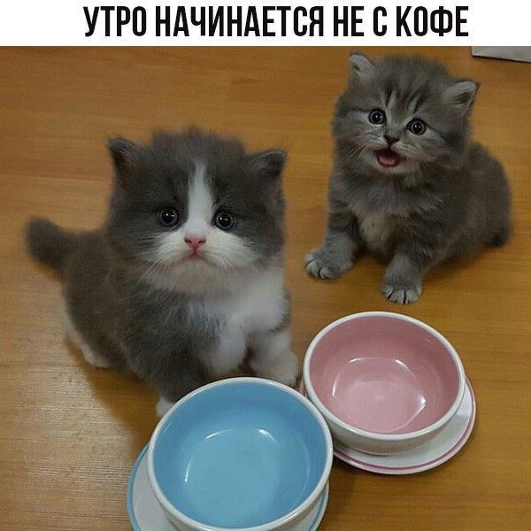 УТРО НАЧИНАЕТСЯ НЕ В КОФЕ