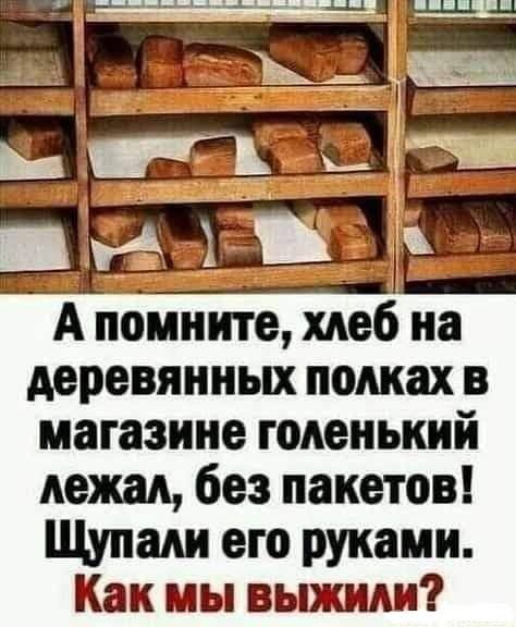 А помните Меб на деревянных полках в магазине голенькнй лежал без пакетов Щупалн его руками Как мы выжили
