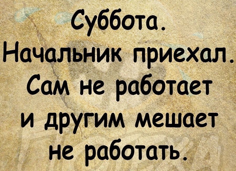 Суббота Начальник приехал Сам не работает и другим мешает не работать