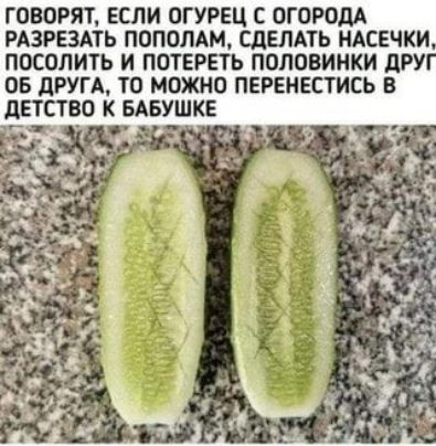 ГОВОРЯТ ЕСЛИ ОГУРЕЦ С ОГОРОДА РАЗРЕЗАТЬ ПОПОПАМ СДЕЛАТЬ НАСЕЧКИ ПОСОЛИТЬ И ПОТЕРЕТЬ ПОЛОВИНКИ дРУ ОБ дРУГА ТО МОЖНО ПЕРЕНЕСТИСЬ В дЕТСТВО К БАБУШКЕ