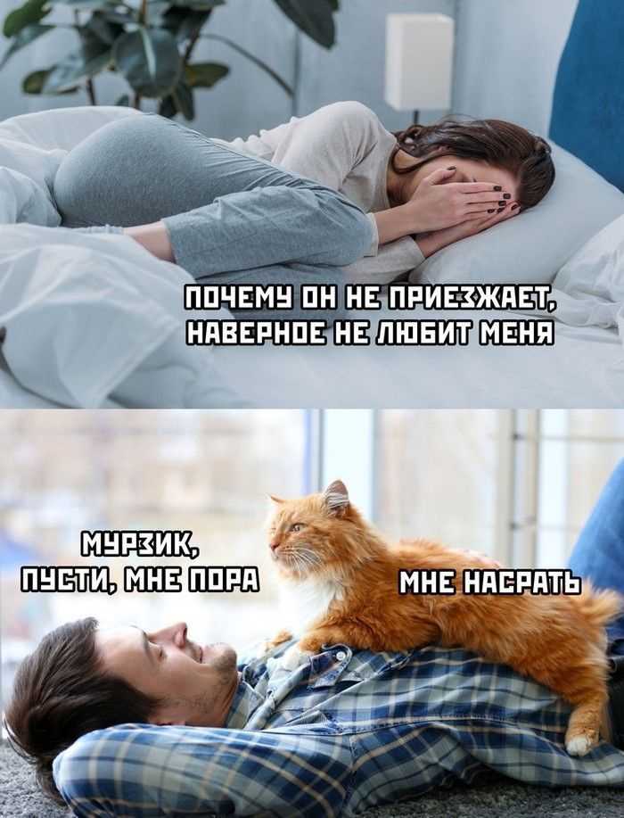 МНЕНАСРАТе
