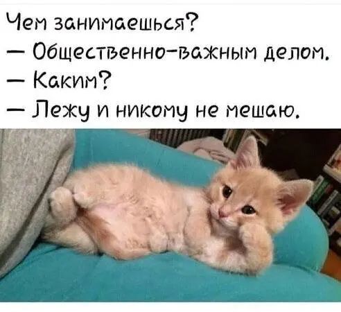 Чет занимаешься Общественно ъажиыи делом Каким Лежу и никому не мешаю