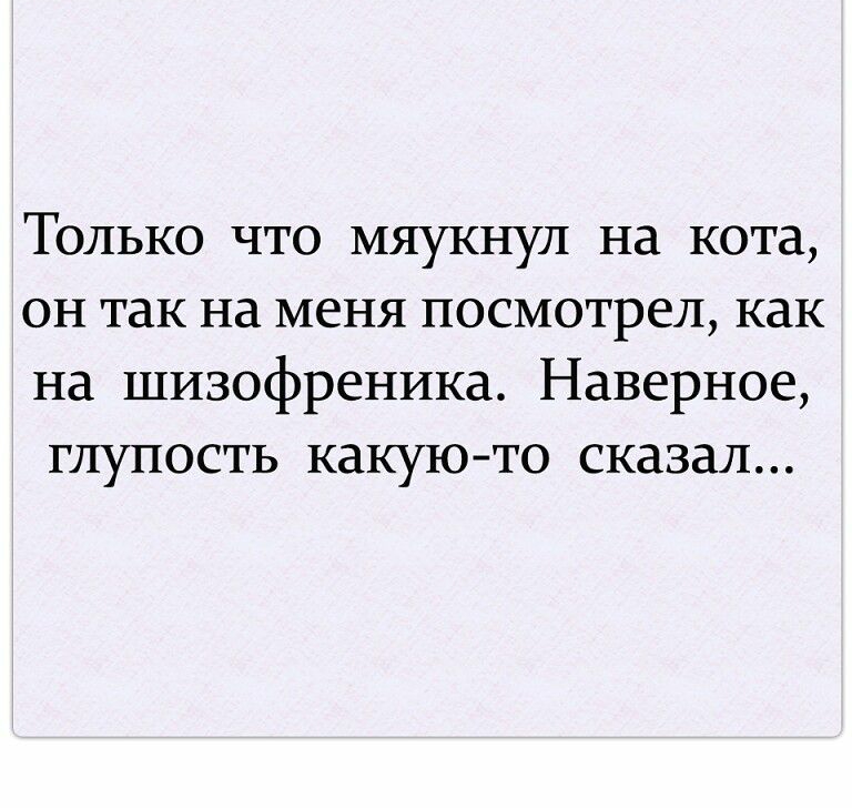 Только что мяукнул на кота он так на меня посмотрел как на шизофреника Наверное глупость какуюто сказал