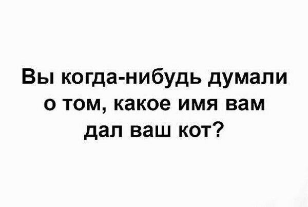 Вы когда нибудь думали о том какое имя вам дал ваш кот