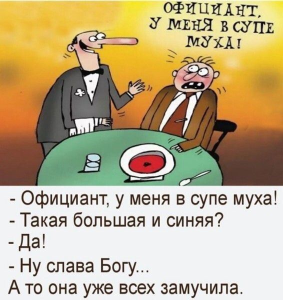 Муха в супе у студентов