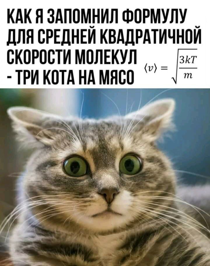 КАК Я 3АПОМ_НИЛ ФОРМУЛУ _ ДЛЯ ОРЕЛНЕИ КВАДРАТИЧНОИ ОКОРООТИ МОЛЕКУЛ Р зкт ТРИ КОТА НА МНОО