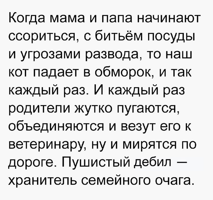 Когда мама и папа начинают ссориться с битьём посуды и угрозами развода то наш кот падает в обморок и так каждый раз И каждый раз родители жутко пугаются объединяются и везут его к ветеринару ну и мирятся по дороге Пушистый дебил хранитель семейного очага