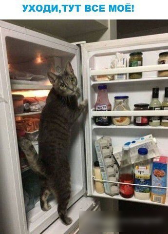 рэ1 коомдшдн