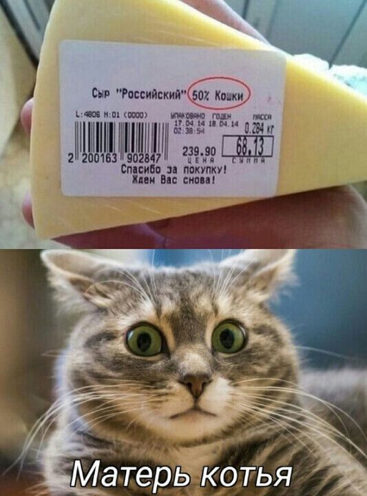 у 4 как впн ки ч шшшщъ и