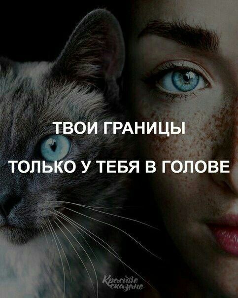 ьн кп рт