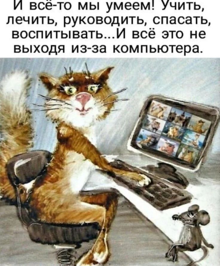 и всёто мы умеем Учить лечить руководить спасать воспитыватьИ всё это не выходя изза компьютера