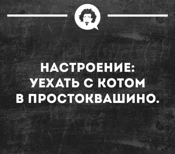 _Ф НАСТРОЕНИЕ УЕХАТЬ С КОТОМ В ПРОСТОКВАШИНО шниноикн