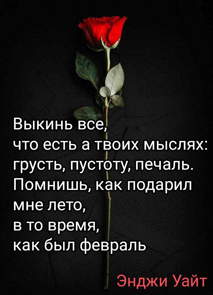Выкинь всеТ что есть а ттзоих мыслях грусть пустоту печаль Помнишь как подарил мне лето 3 в то время как был февраль Энджи Уайт