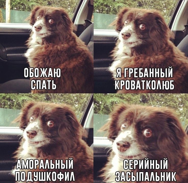 АМИРААЬНЫИ дншкпфид двыпмьник