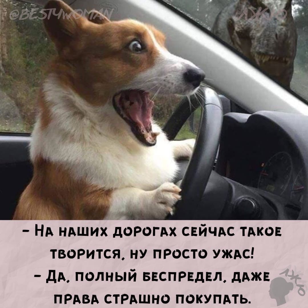 НА НАШИХ дФРОГАХ СЕЙЧАС ТАКОЕ ТВОРИТСЯ НУ ПРОСТО УЖАС дА ПОЛНЫЙ БЕСПРЕДЕД дАЖЕ ПРАВА СТРАШНО ПОКУПАТЬ