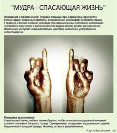 МУДРА СПАСАЮЩАЯ ЖИЗНЬ мощи там ц щ ___н ш_шщ_ _и__ _щ____ц пищиттт тп