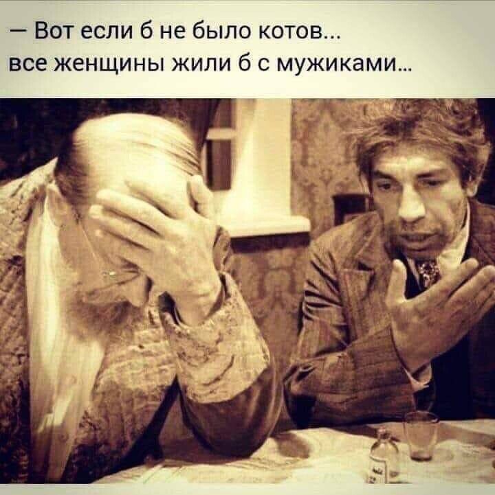 ВОТ если 6 не было котов все женщины жили 6 с мужикзми