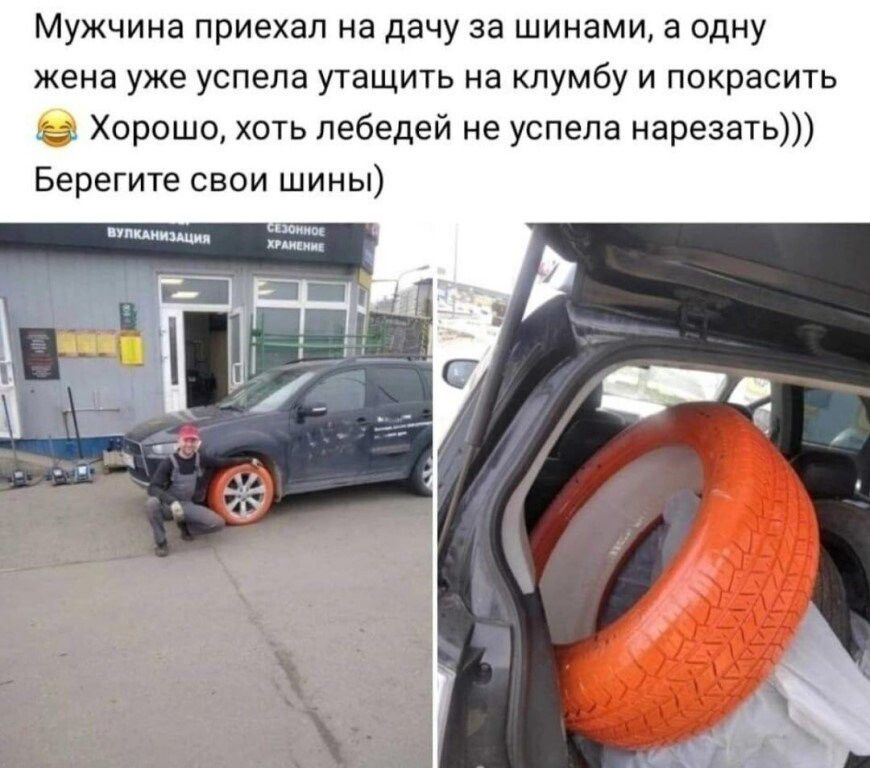 Мужчина приехал на дачу за шинами в одну жена уже успела утащить на клумбу и покрасить Хорошо хоть лебедей не успела нарезать Берегите свои шины