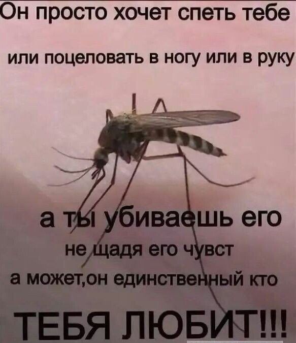 или поцеловатъ в ногу или в руку
