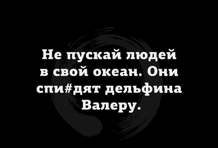 Не пускай людей в свой океан Они спидят дельфина Валеру