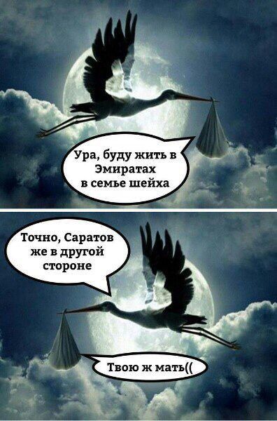 Ура Буду жить в Эмиратах семье шейха Точно Саратов же в другой стороне _ у ь