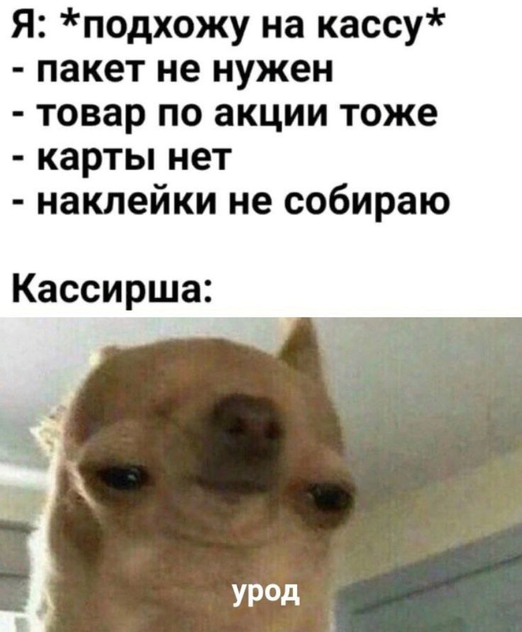 я подхожу на кассу пакет не нужен товар по акции тоже карты нет наклейки не собираю Кассирша