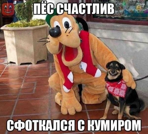 сфптндпцп инжиром