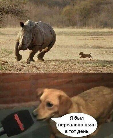 Я был нереально пьян тот день