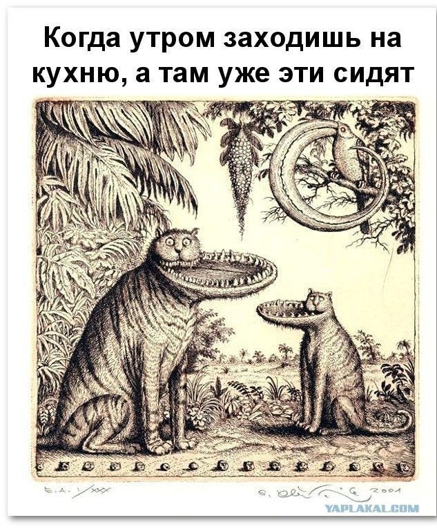 Когда утром заходишь на