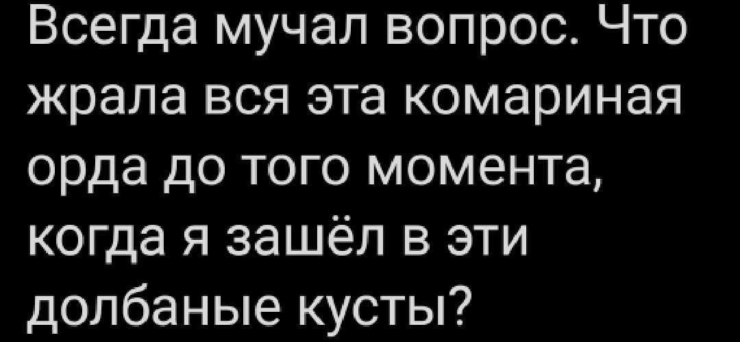 Всегда мучал вопрос Что жрала вся эта комариная орда до того момента когда я зашёл в эти допбаные кусты