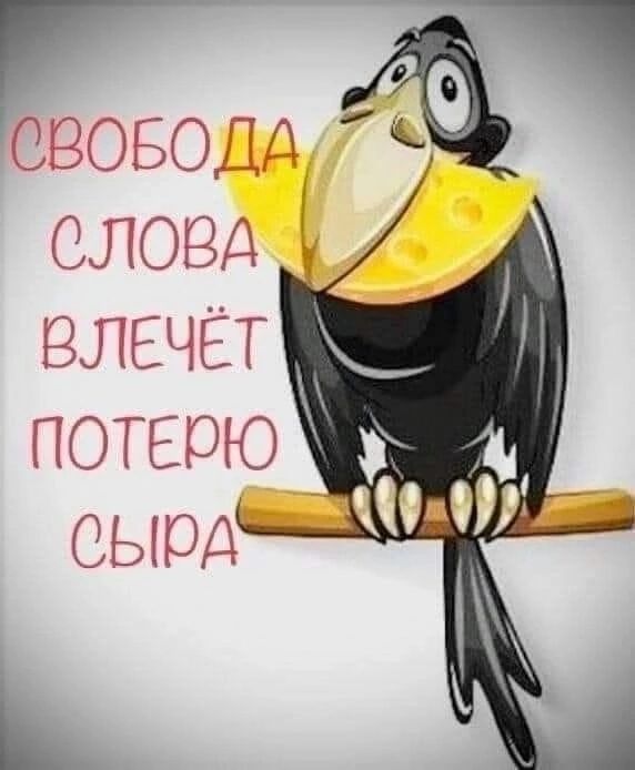 Г 16 СВОБОДА СЛОВА ВЛЕЧЁТ ПОТЕЮЮ ОЫОД