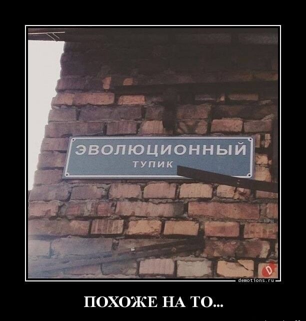 ПОХОЖЕ НА ТО