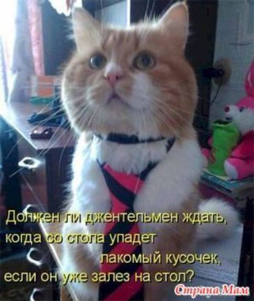 і залез на СТ усоче ол _