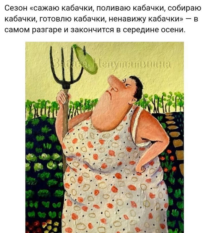 Сезон сажаю кабачки поливаю кабачки собираю кабачки готовлю кабачки ненавижу кабачки в самом разгаре и закончится в середине осени