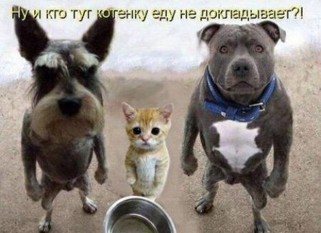 А