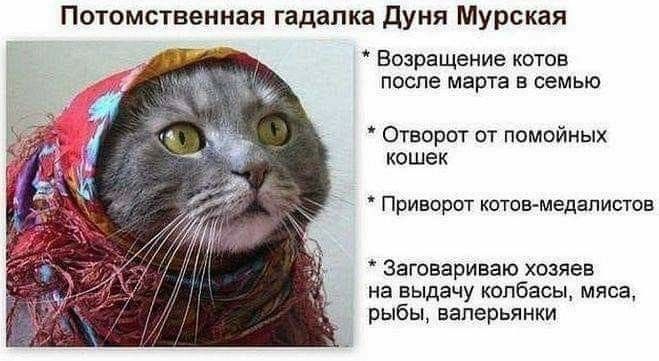 Потомсшеииая гаддпка дуия Мурская Возращение китов после марта вемыо Отворит от помойных кошек Привпрог Кошамедалист Зетввриваю хозяев на выдачу колбасы мяса рыбы валерьянки