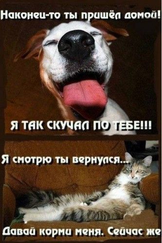 Наконец то ты П ишёа дОПОЙ давай порна пеня Ёша же