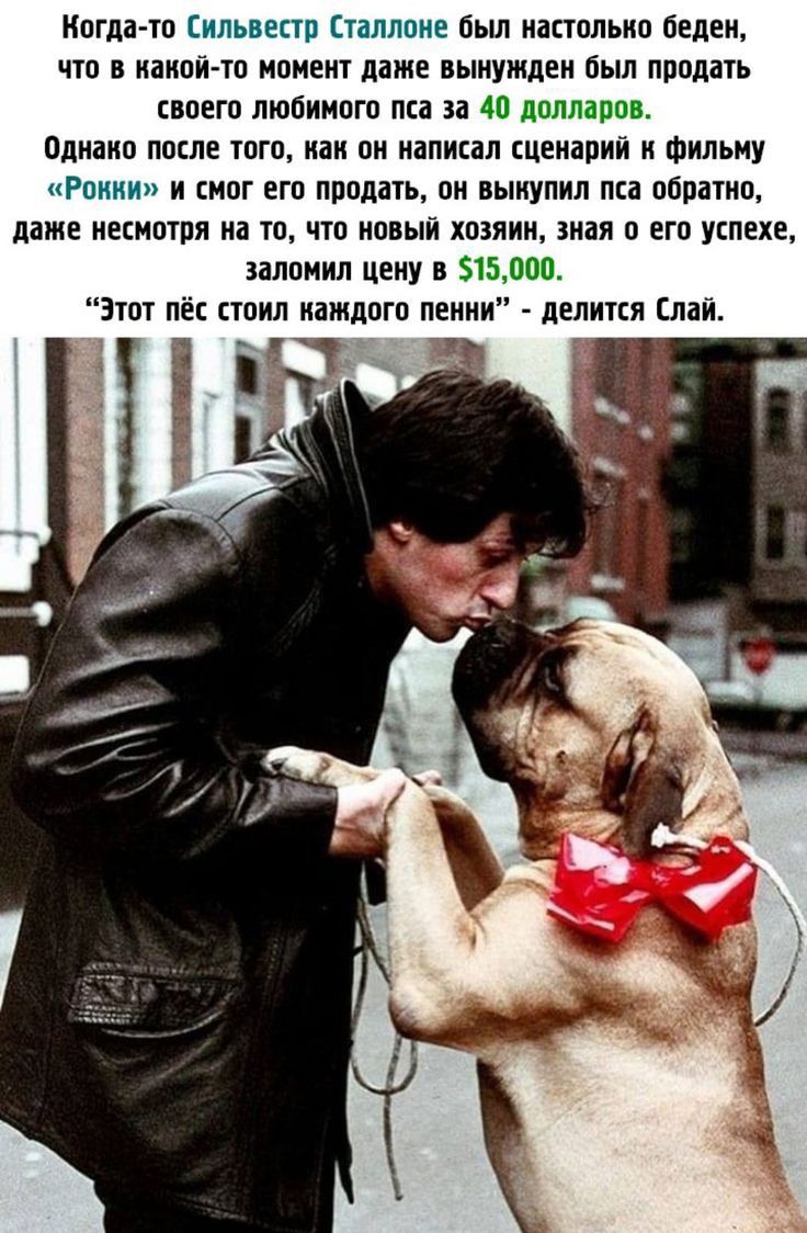 Киша та иль апр пллоие бьш иаппльип беден что в наипи тп момент даме вынужден пыл пппппь впегп любимого ли и 40 долларпв плиаип ппкле югп как он иаликал сценарии и Фильму Рпиии и книг егп придать пи выкупил лш пбрыип даже иепиптя иа тп что новый хозяин зная о его успеха плпнил цену в 515000 апп пёс стил иамлпгп пении делипя паж і