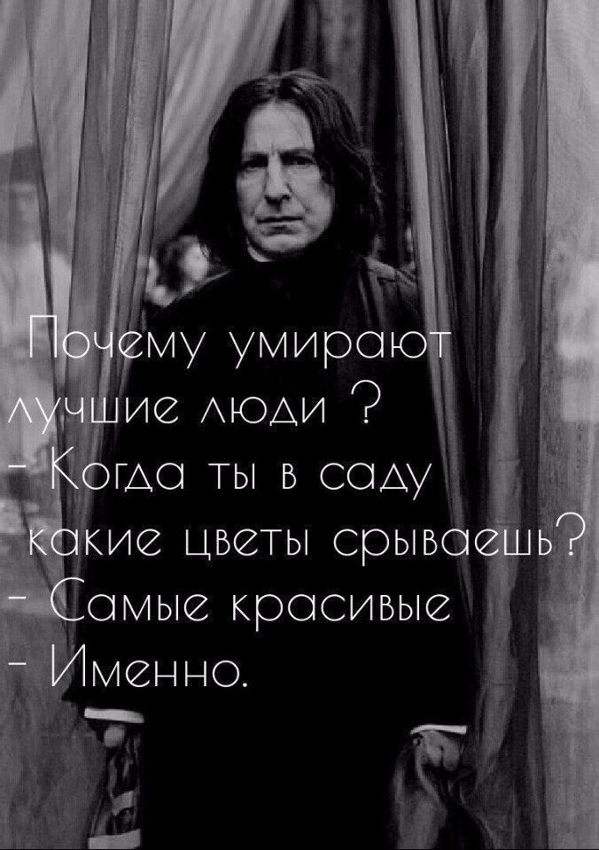 шо ты в СОАУ ие цветы срыв омые красивые