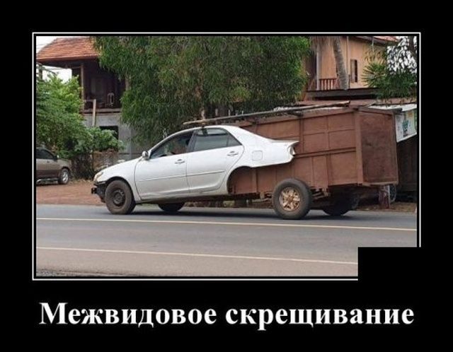 Межвидовое скрещивание